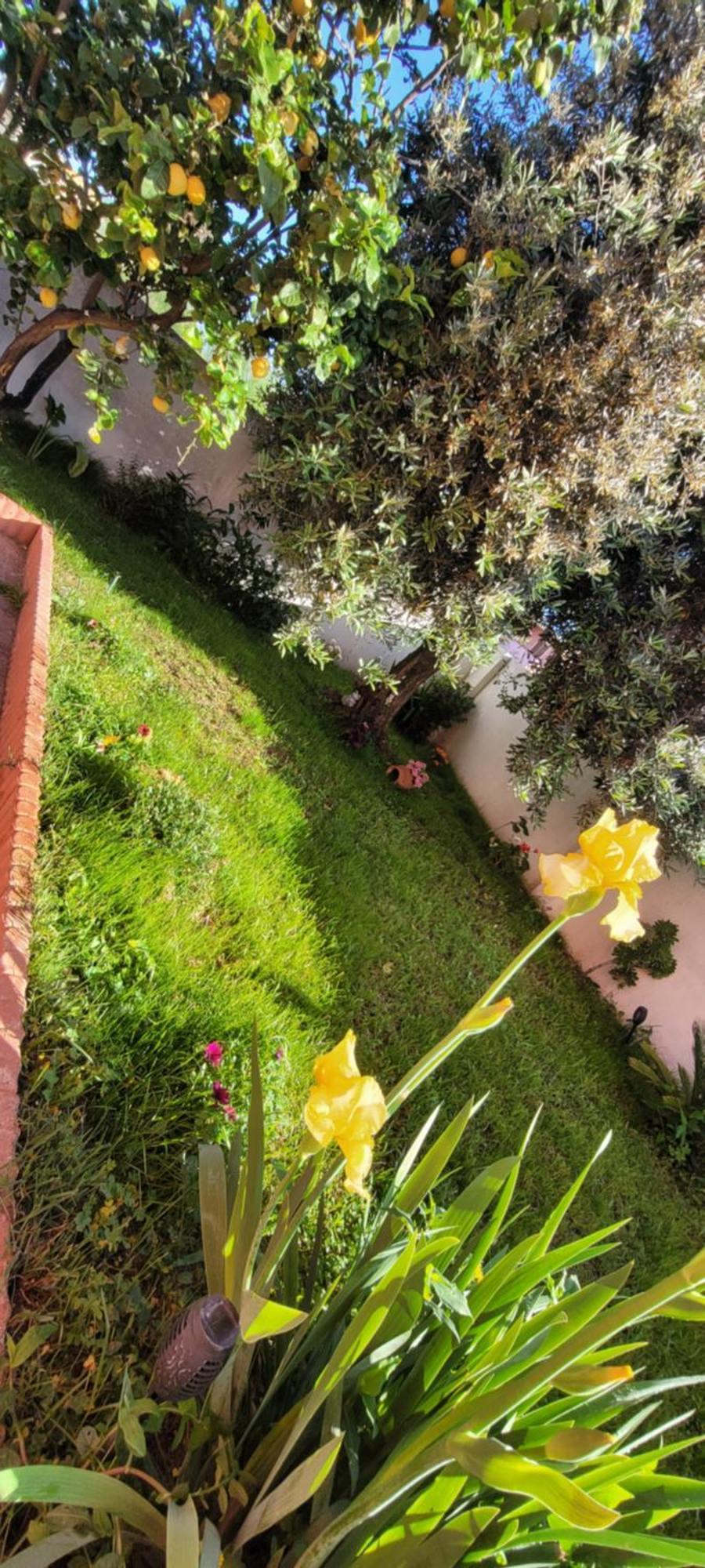 Kokky'S Home Su Forti Bagian luar foto