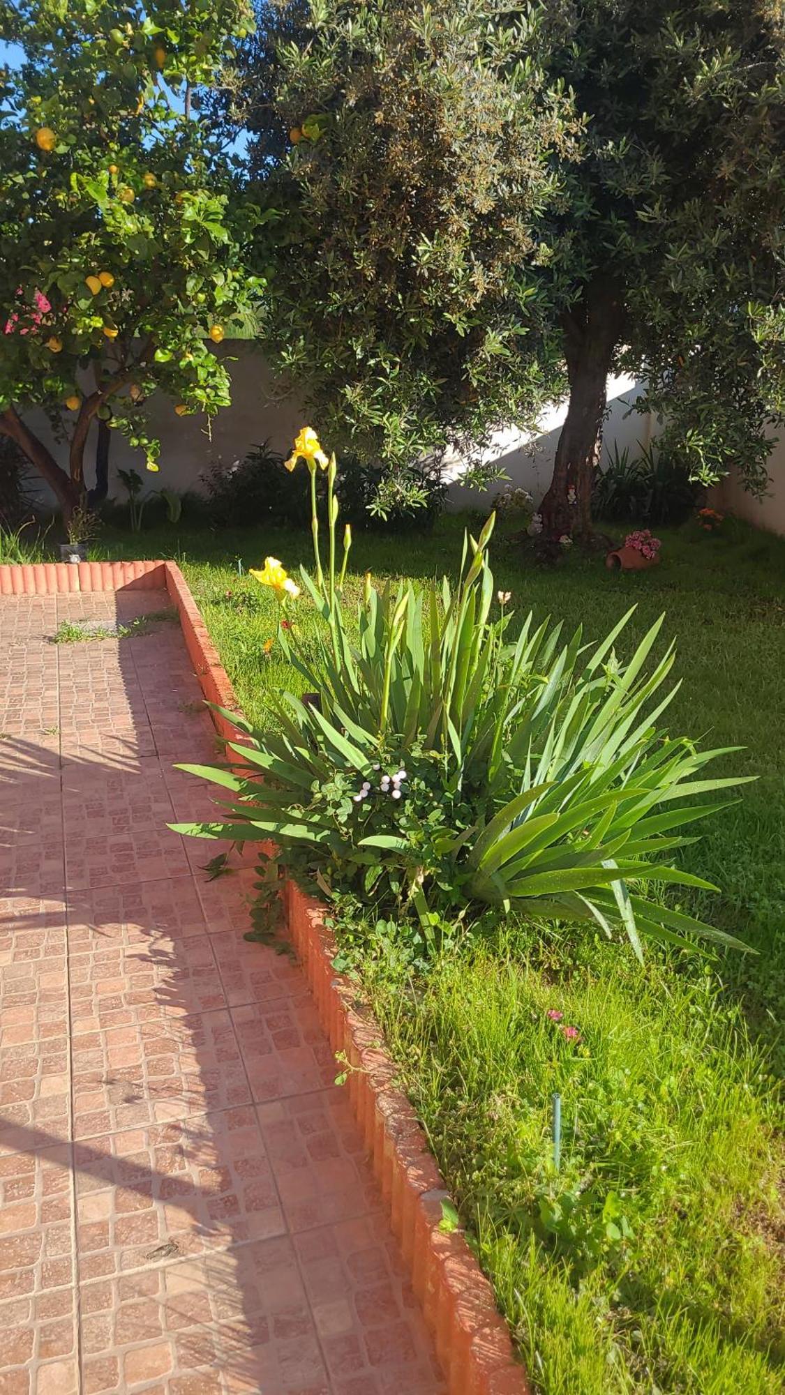 Kokky'S Home Su Forti Bagian luar foto